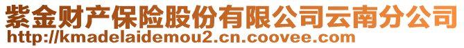 紫金財產(chǎn)保險股份有限公司云南分公司