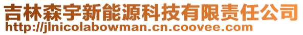 吉林森宇新能源科技有限责任公司