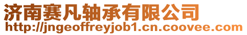 濟(jì)南賽凡軸承有限公司