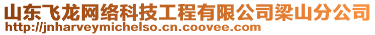 山東飛龍網(wǎng)絡(luò)科技工程有限公司梁山分公司