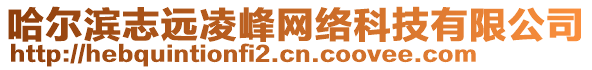 哈爾濱志遠(yuǎn)凌峰網(wǎng)絡(luò)科技有限公司