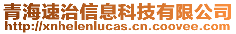 青海速治信息科技有限公司