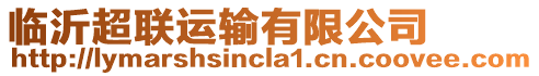 臨沂超聯(lián)運(yùn)輸有限公司