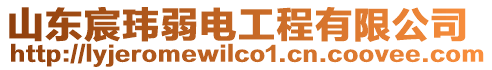 山東宸瑋弱電工程有限公司