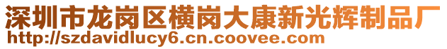 深圳市龍崗區(qū)橫崗大康新光輝制品廠