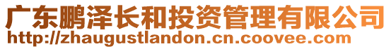 廣東鵬澤長和投資管理有限公司