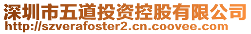 深圳市五道投資控股有限公司