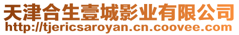 天津合生壹城影業有限公司