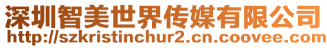 深圳智美世界傳媒有限公司