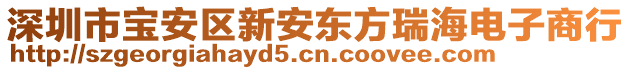 深圳市寶安區新安東方瑞海電子商行