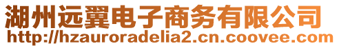 湖州遠翼電子商務有限公司