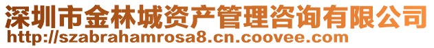 深圳市金林城資產管理咨詢有限公司