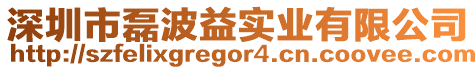 深圳市磊波益實業有限公司