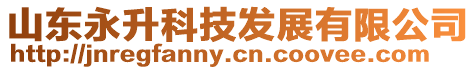 山東永升科技發展有限公司