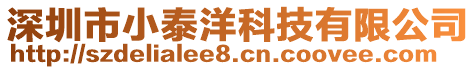 深圳市小泰洋科技有限公司