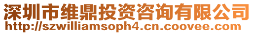 深圳市維鼎投資咨詢有限公司