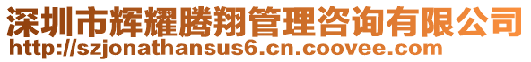 深圳市輝耀騰翔管理咨詢有限公司