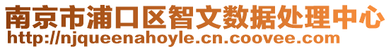 南京市浦口區智文數據處理中心