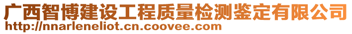廣西智博建設工程質量檢測鑒定有限公司
