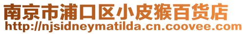 南京市浦口區小皮猴百貨店
