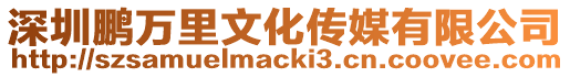 深圳鵬萬(wàn)里文化傳媒有限公司