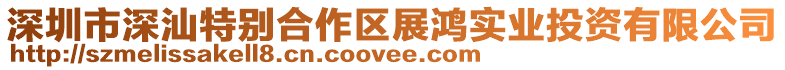 深圳市深汕特別合作區(qū)展鴻實(shí)業(yè)投資有限公司