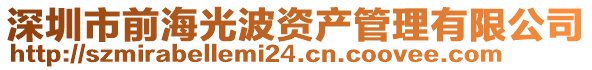深圳市前海光波資產管理有限公司