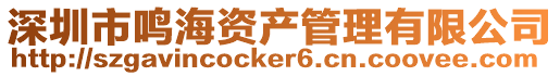 深圳市鳴海資產管理有限公司