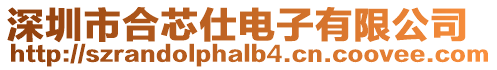 深圳市合芯仕電子有限公司