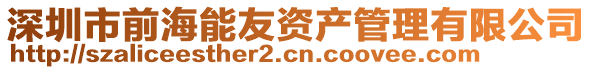 深圳市前海能友資產(chǎn)管理有限公司