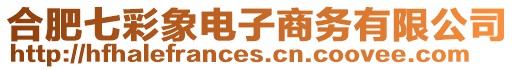 合肥七彩象電子商務(wù)有限公司
