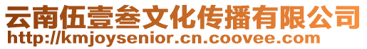 云南伍壹叁文化傳播有限公司