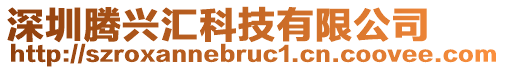 深圳騰興匯科技有限公司
