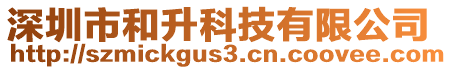 深圳市和升科技有限公司