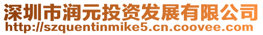 深圳市潤元投資發展有限公司