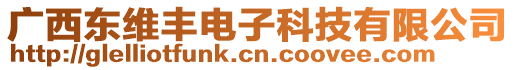 廣西東維豐電子科技有限公司