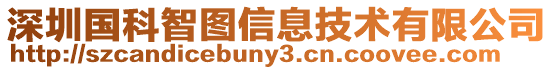 深圳國科智圖信息技術有限公司