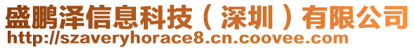 盛鵬澤信息科技（深圳）有限公司