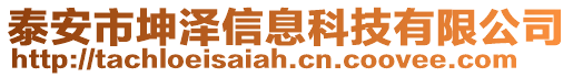 泰安市坤澤信息科技有限公司