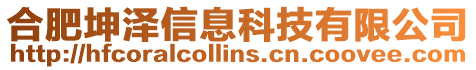 合肥坤澤信息科技有限公司