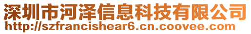 深圳市河澤信息科技有限公司
