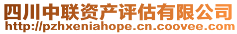 四川中聯(lián)資產評估有限公司
