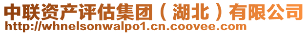 中聯資產評估集團（湖北）有限公司