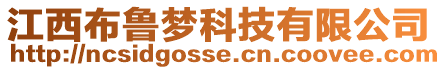 江西布魯夢科技有限公司