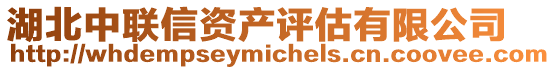 湖北中聯信資產評估有限公司