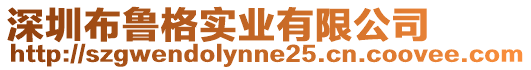 深圳布魯格實業有限公司