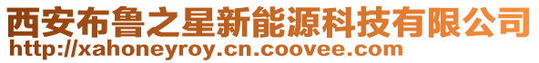 西安布魯之星新能源科技有限公司