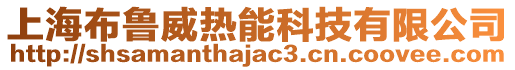 上海布魯威熱能科技有限公司