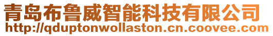 青島布魯威智能科技有限公司