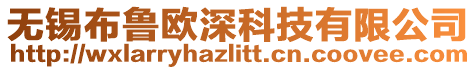 無錫布魯歐深科技有限公司